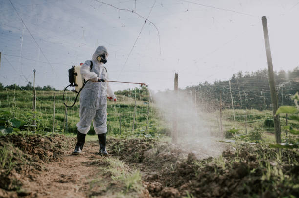 Best Affordable Pest Control Services  in Apple Creek, OH