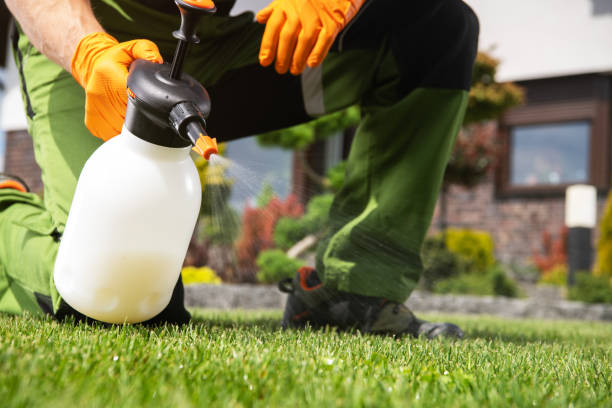 Best Best Pest Control Companies  in Apple Creek, OH