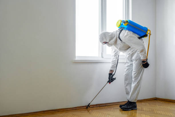 Professional Pest Control in Apple Creek, OH